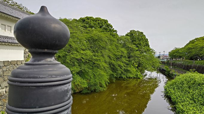 5.13霞城公園25JPG.JPG