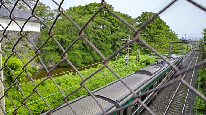 5.13霞城公園26JPG.JPG