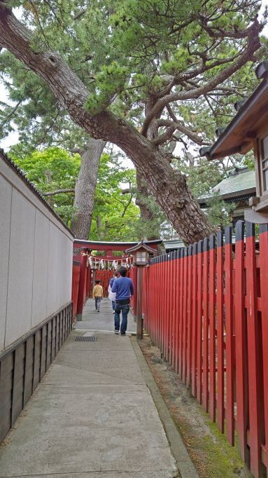 5.14新潟白山神社14.JPG