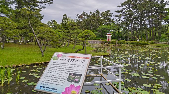 5.14新潟白山神社24.JPG