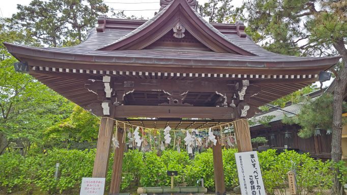 5.14新潟白山神社5.JPG