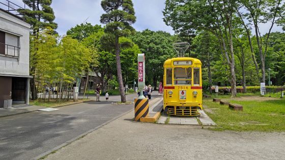 5.26..江戸東京9.JPG