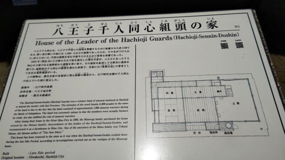 5.26.小金井公園..JPG