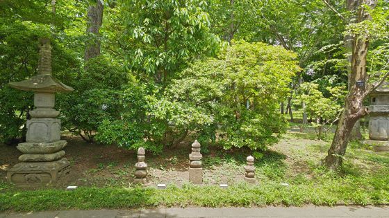 5.26.小金井公園.23JPG.JPG