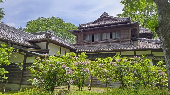 5.26.小金井公園.24JPG.JPG