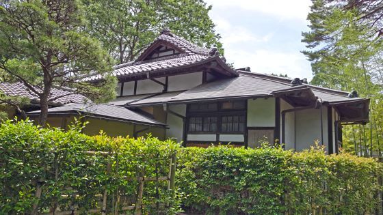 5.26.小金井公園.28JPG.JPG