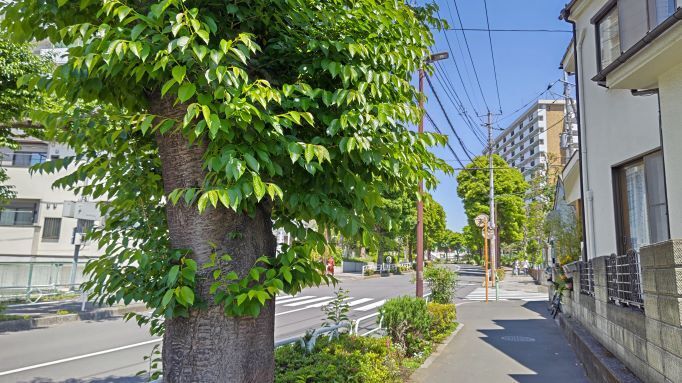 5.4柳沢駅1.JPG
