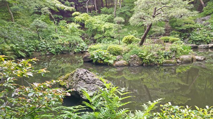 5.8殿ヶ谷戸11.JPG