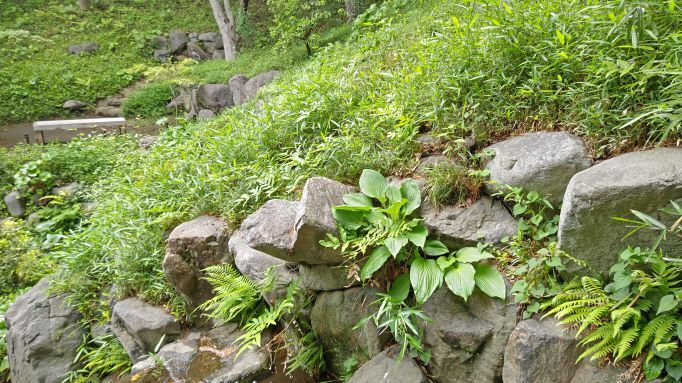 5.8殿ヶ谷戸8.JPG