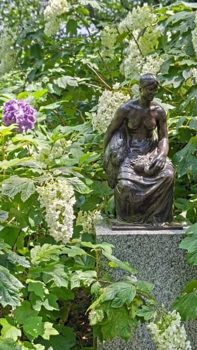 6.13小平紫陽花公園28.JPG