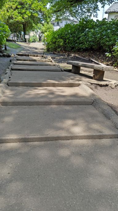 6.13小平紫陽花公園39.JPG