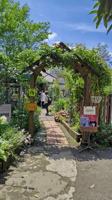 6.13小平紫陽花公園44.JPG