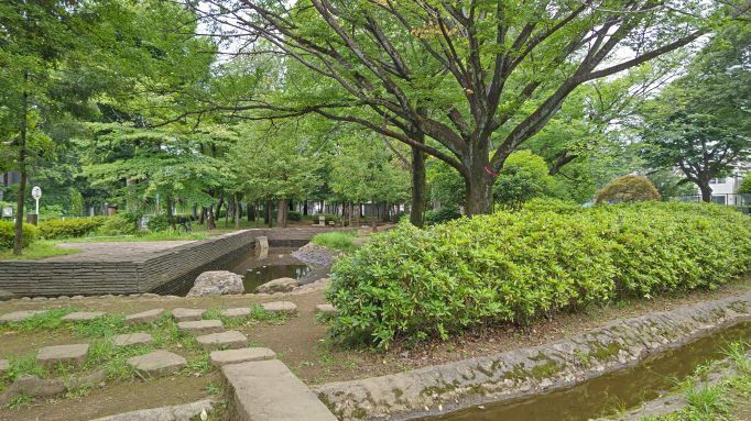 6.20つつじ公園マル16.JPG