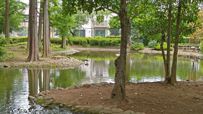 6.20つつじ公園マル19.JPG