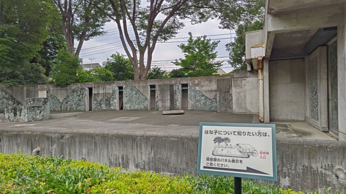 6.21井の頭はな子3.JPG
