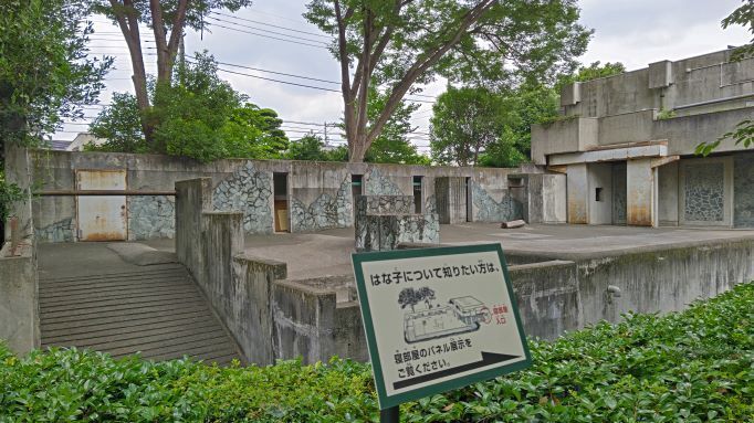 6.21井の頭はな子4.JPG