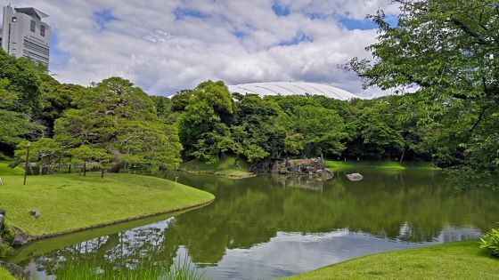 6.4小石川後楽園..10JPG.JPG