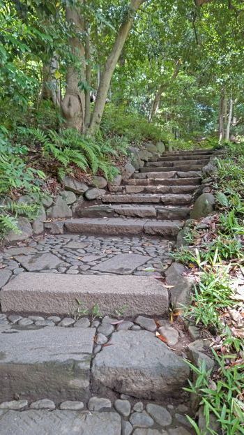 6.4小石川後楽園..16JPG.JPG