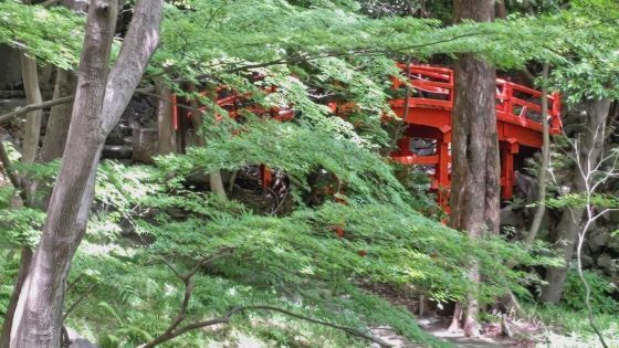 6.4小石川後楽園..17JPG.JPG
