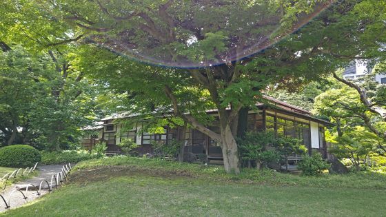 6.4小石川後楽園..18JPG.JPG