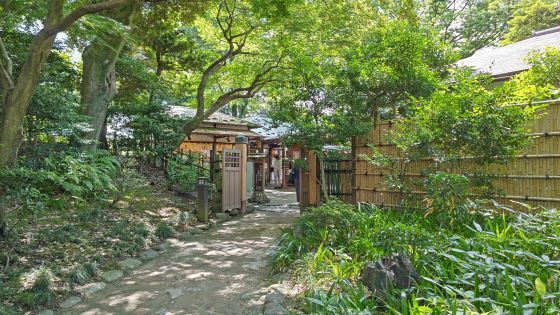 6.4小石川後楽園..19JPG.JPG