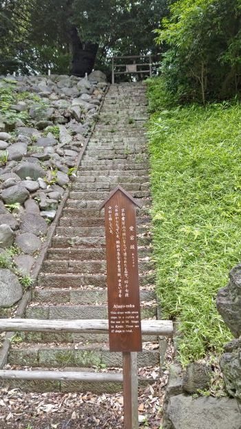 6.4小石川後楽園..2.JPG