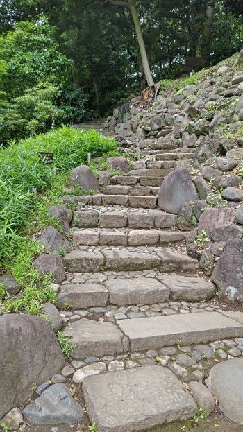 6.4小石川後楽園..3.JPG