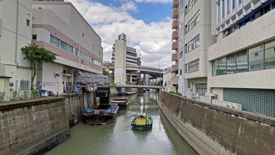 6.4小石川後楽園1.JPG