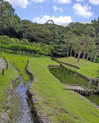 6.4小石川後楽園21.JPG