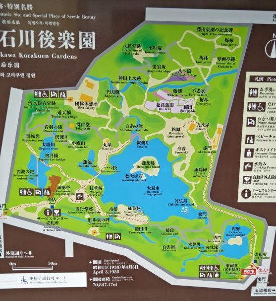 6.4小石川後楽園3.JPG