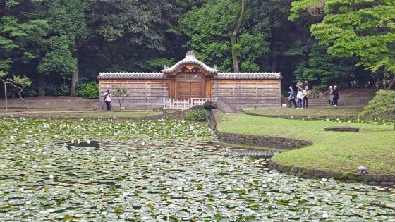 6.4小石川後楽園4.JPG