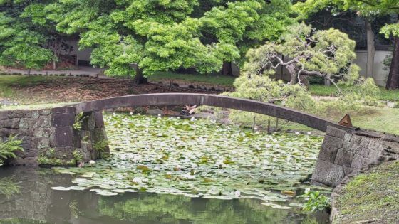 6.4小石川後楽園5.JPG