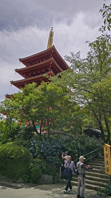 6.5高幡不動12.JPG
