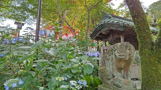 6.5高幡不動13.JPG