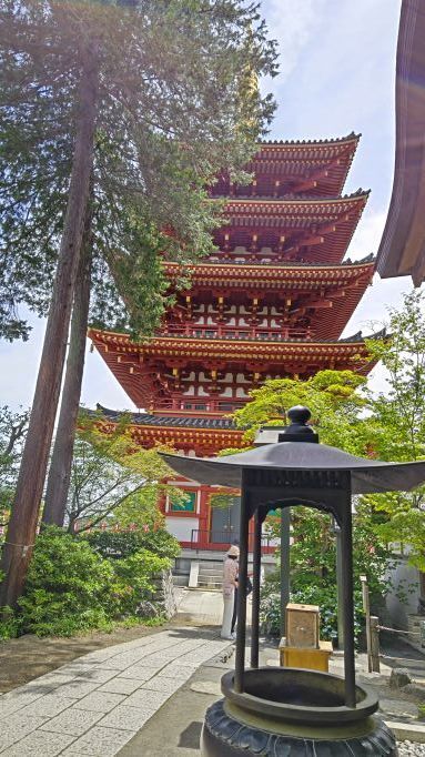 6.5高幡不動15.JPG