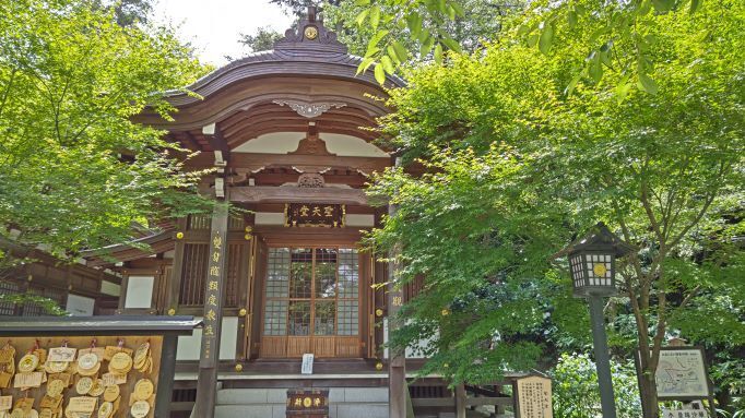 6.5高幡不動17.JPG