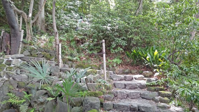6.5高幡不動22.JPG