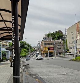 6.5高幡不動日野1.JPG