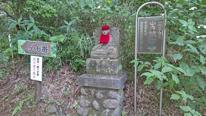 6.5高幡不動紫陽花16.JPG