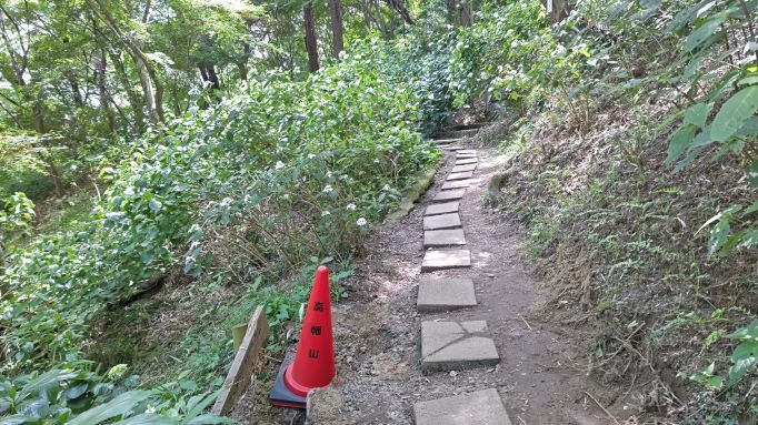 6.5高幡不動紫陽花22.JPG