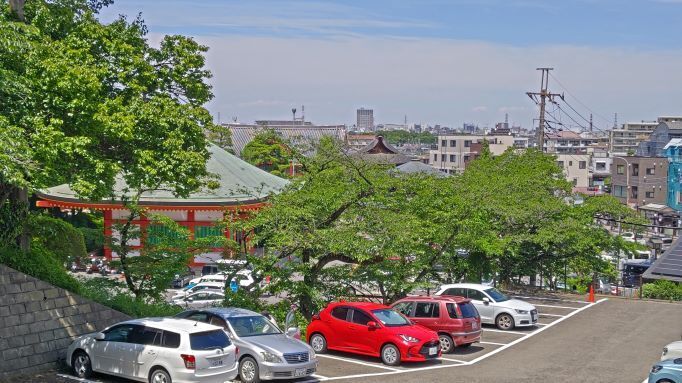 6.5高幡不動紫陽花28.JPG