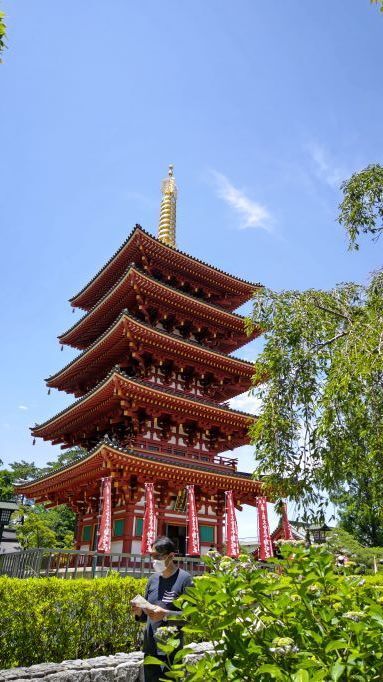 6.5高幡不動紫陽花36.JPG