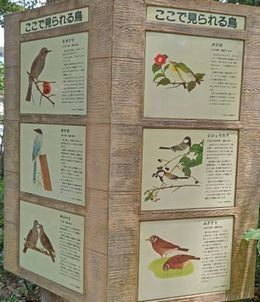 7.3大田黒公園11JPG.JPG