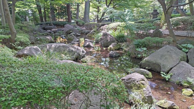 7.3大田黒公園16.JPG