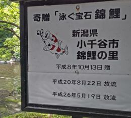 7.3大田黒公園18.JPG