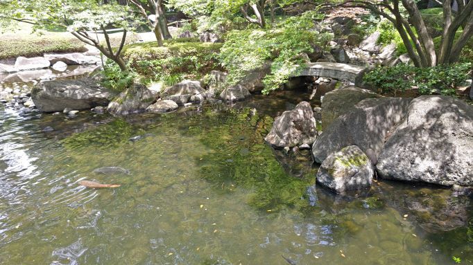 7.3大田黒公園23.JPG
