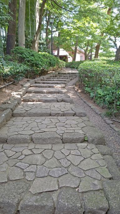7.3大田黒公園28.JPG