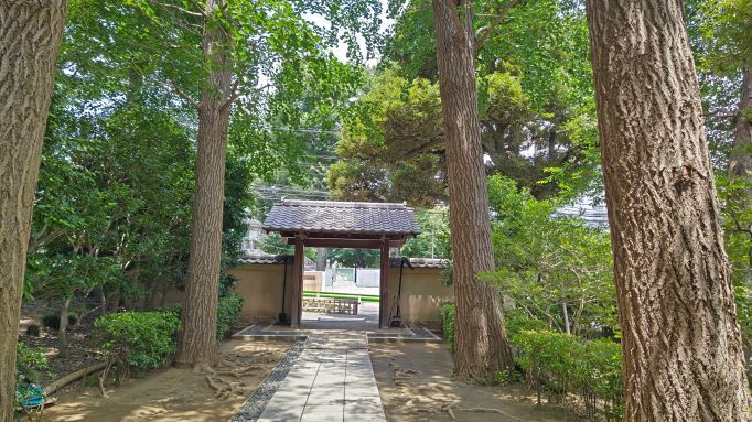 7.3大田黒公園4.JPG