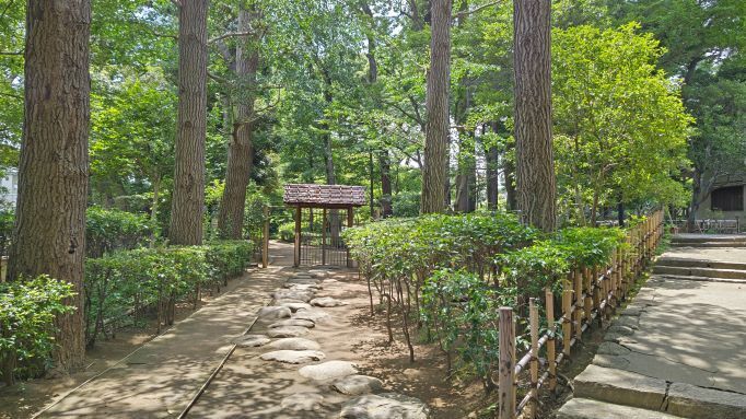 7.3大田黒公園9JPG.JPG