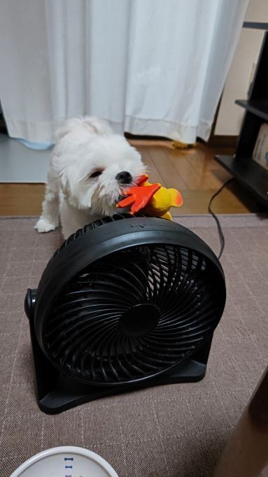 9.15マル16JPG.JPG